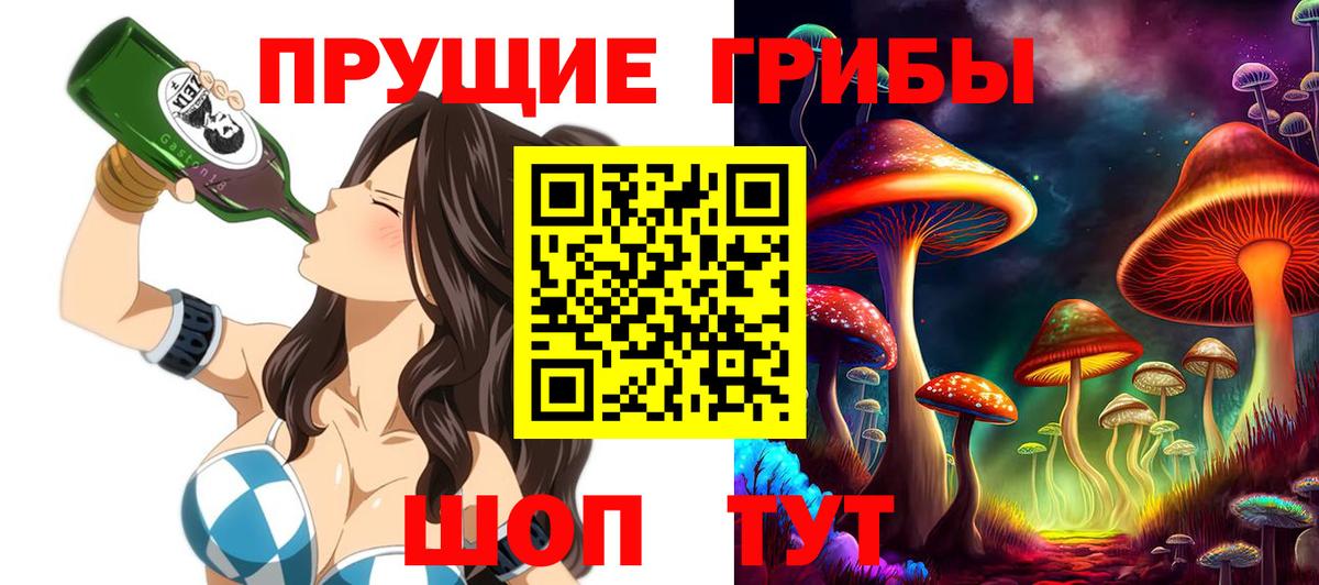 Псилоцибиновые грибы Psilocybe Орехово-Зуево