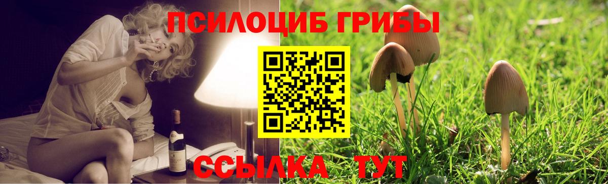 Псилоцибиновые грибы мухоморы  даркнет сайт  Орехово-Зуево  Галлюциногенные грибы Psilocybe  Вход с VPN 